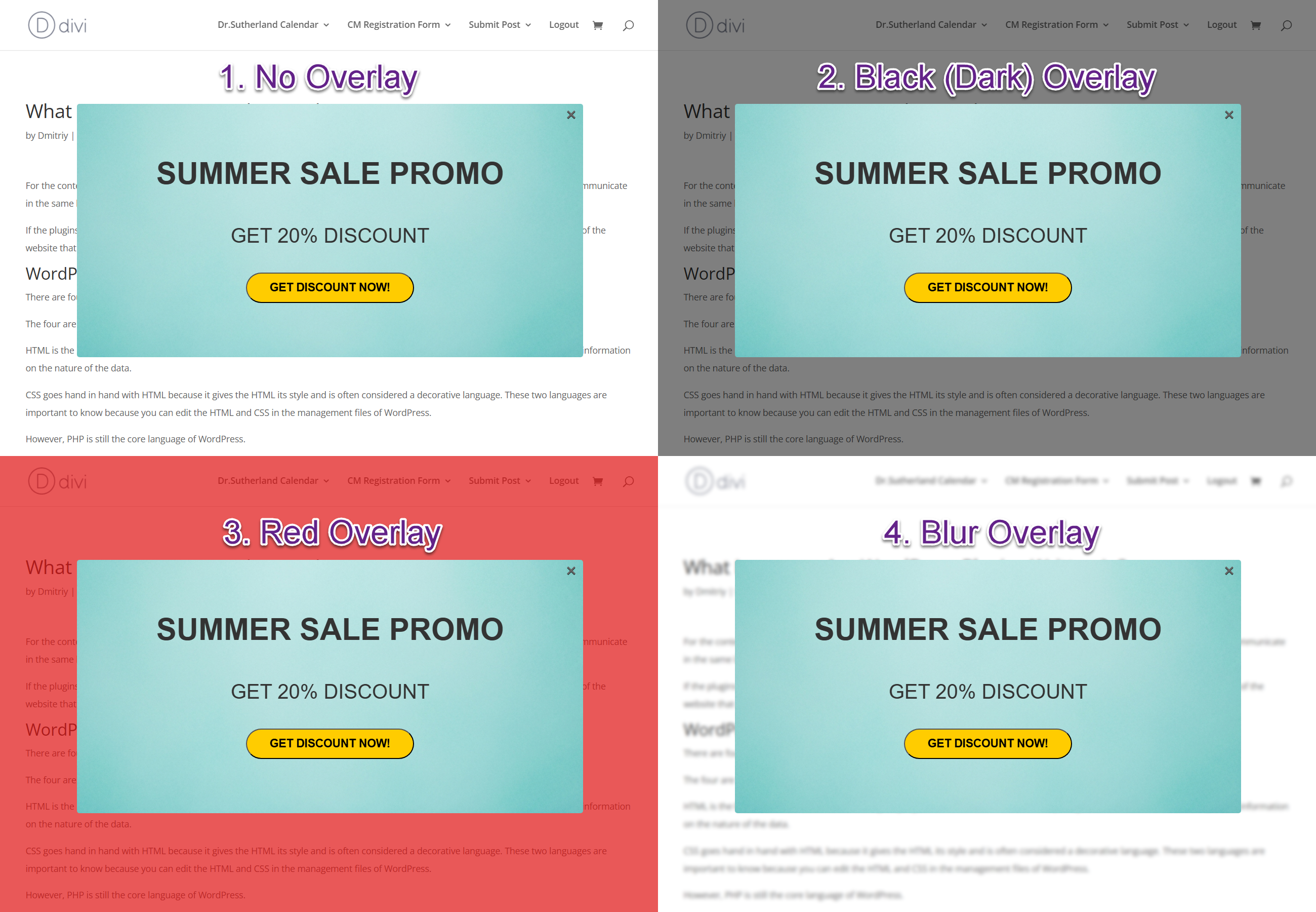Front-end examples - WordPress Popups