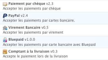 pay1.png