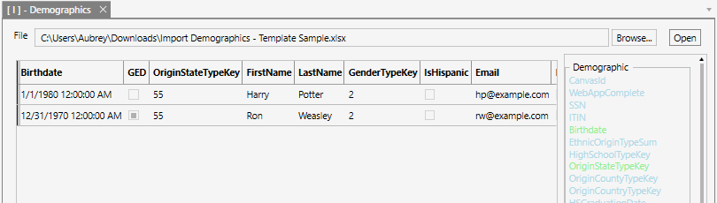 screenshot of the Import Demographics form, showing the validated data in a grid