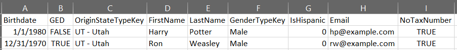 screenshot of an Excel file, showing examples of column names and data values