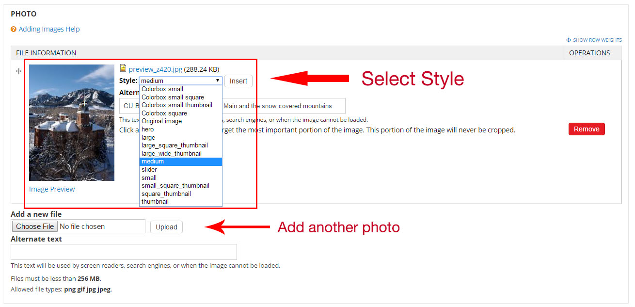 Select image style