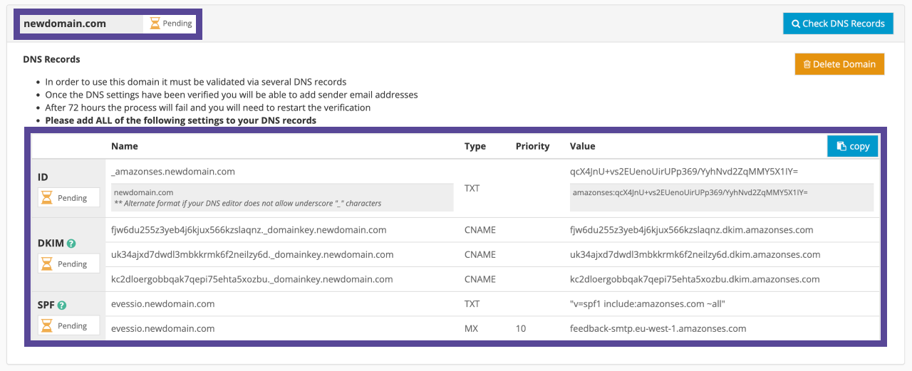 Image showing DNS records once email domain has been provided.