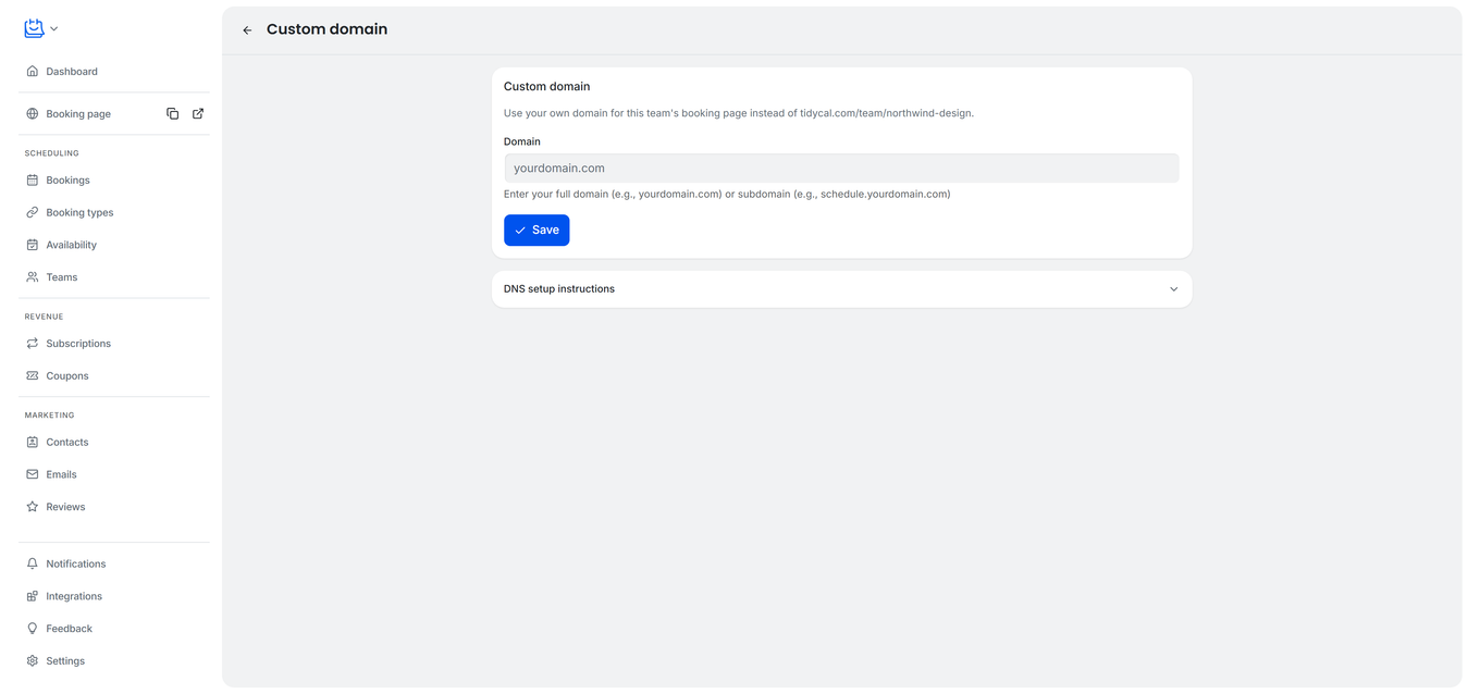 TidyCal team Custom domain page showing Domain field placeholder, Save button, and DNS setup instructions section for the team's booking page