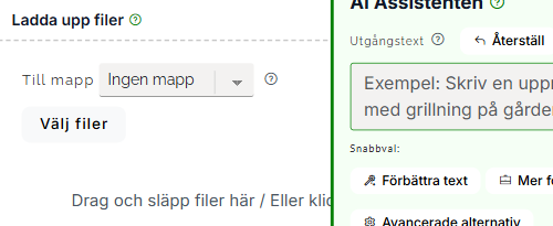 Filuppladdning på en sida i Egrannar