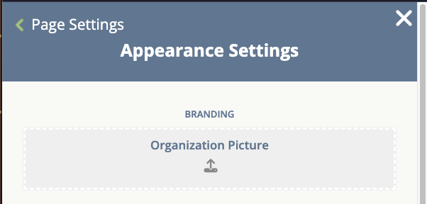 The Appearance Settings panel with a Branding section containing an Organization Picture upload area