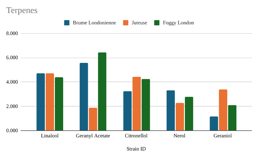 Terpene comparison of Fog strains in dry hopped beer