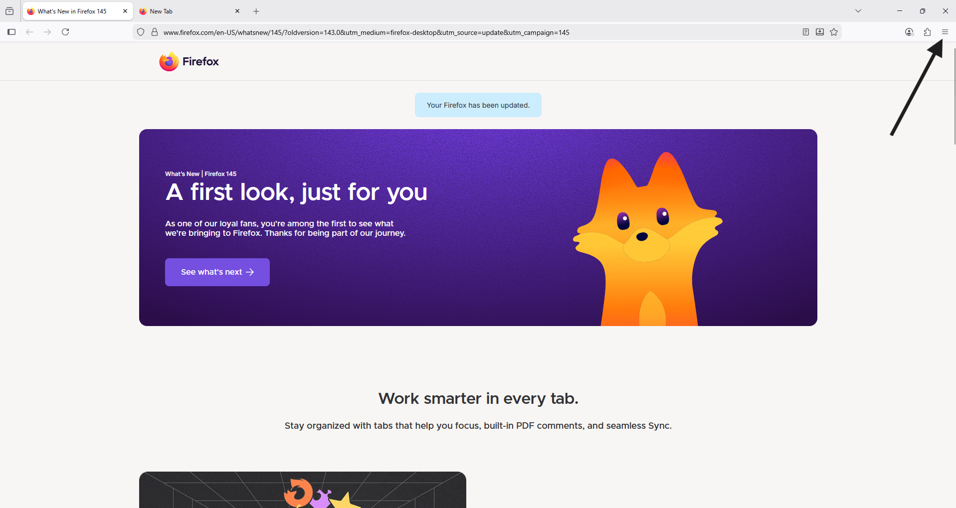 Firefox window with arrow highlighting the 3 lines as described above