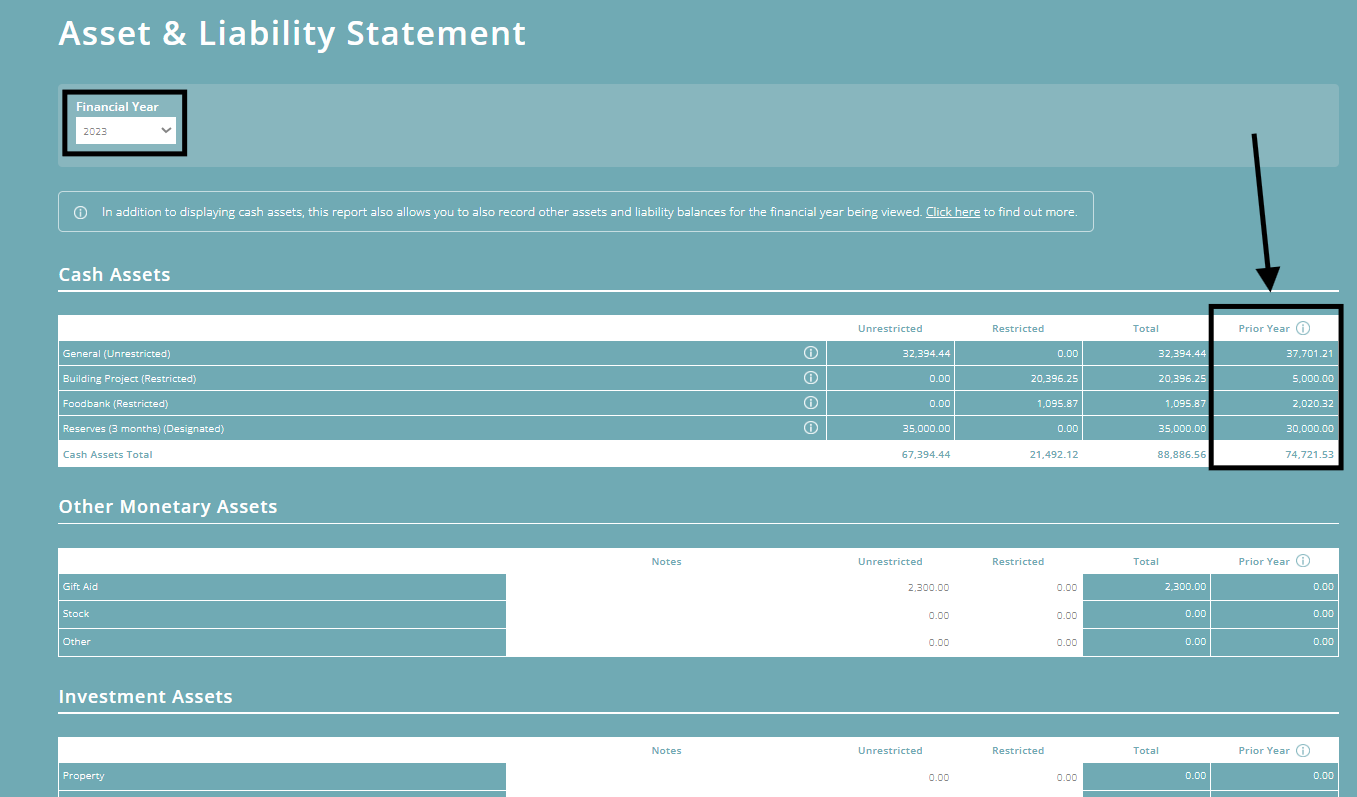 ExpensePlus screenshot of the Asset and Liability statement, highlighting 'Financial Year' and 'Prior year'
