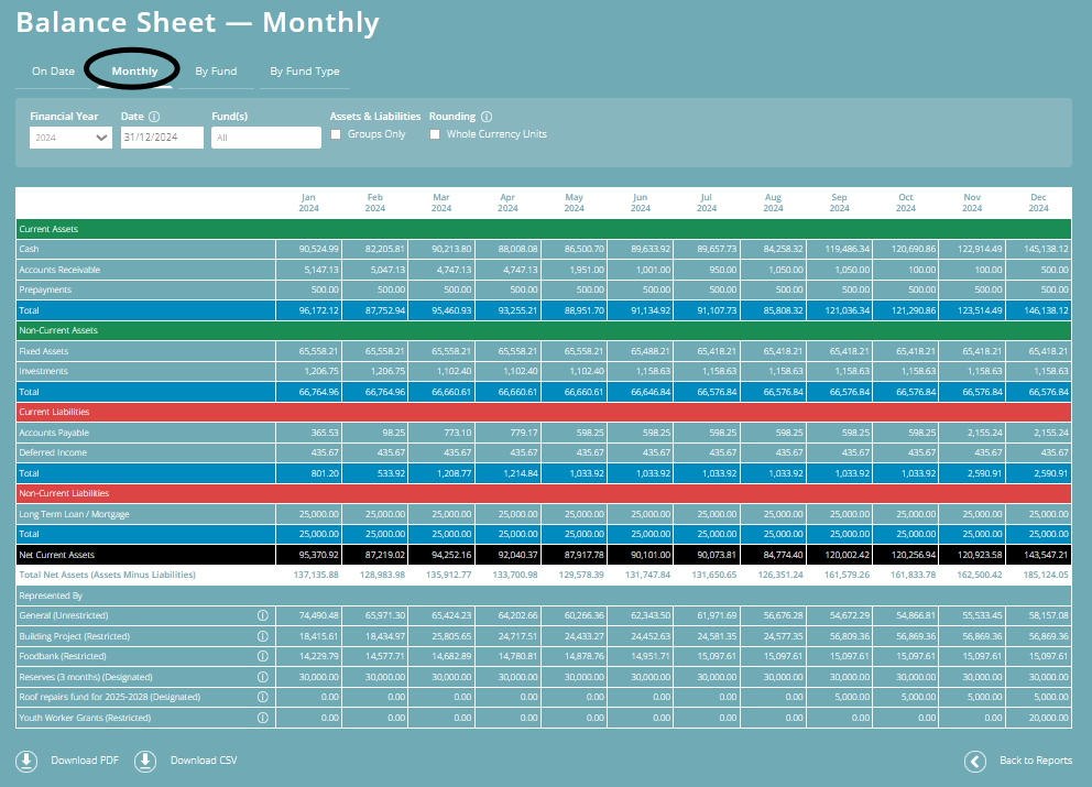 ExpensePlus screenshot of the 'Balance Sheet - Monthly', highlighting the 'Monthly' tab