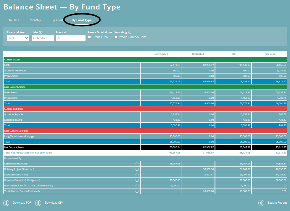 ExpensePlus screenshot of the 'Balance Sheet - By Fund Type', highlighting the 'By Fund Type' tab