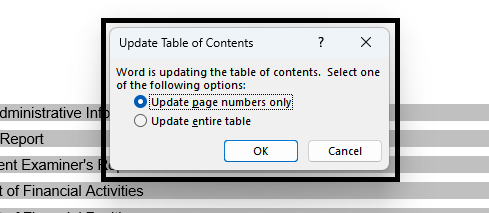 Screenshot of year end accounts file in Microsoft word and word function to edit page numbers