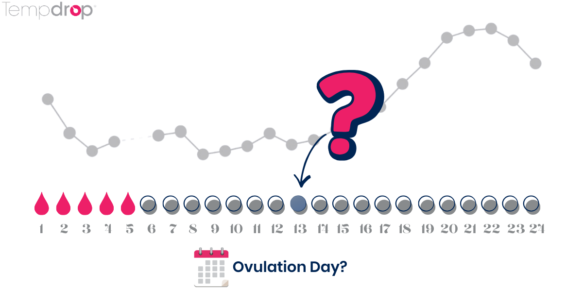 Cycle timeline with question mark on marked ovulation day
