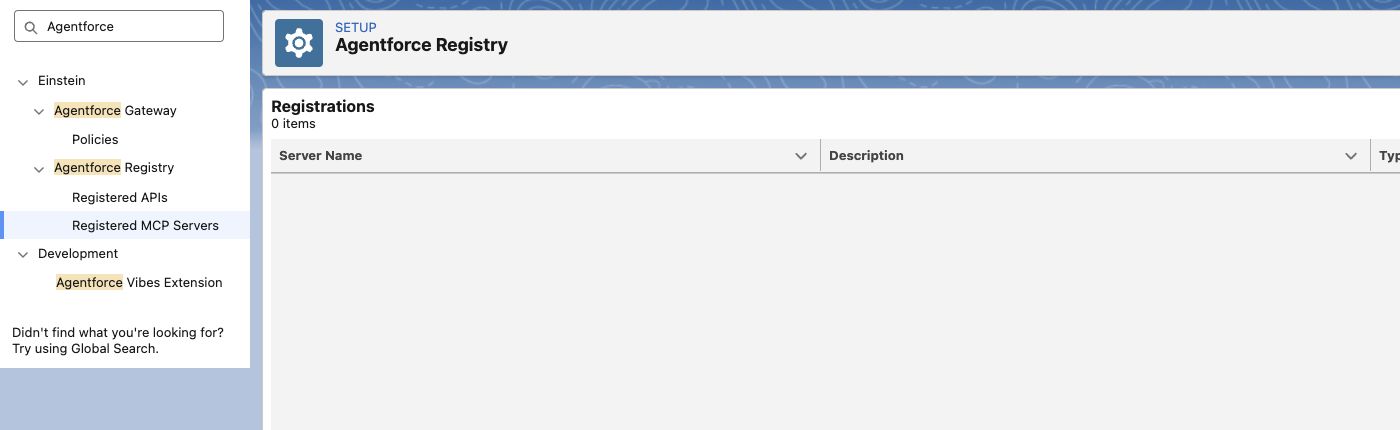 Figure 1. Registered MCP Servers in the signed-in Salesforce Developer Edition org.