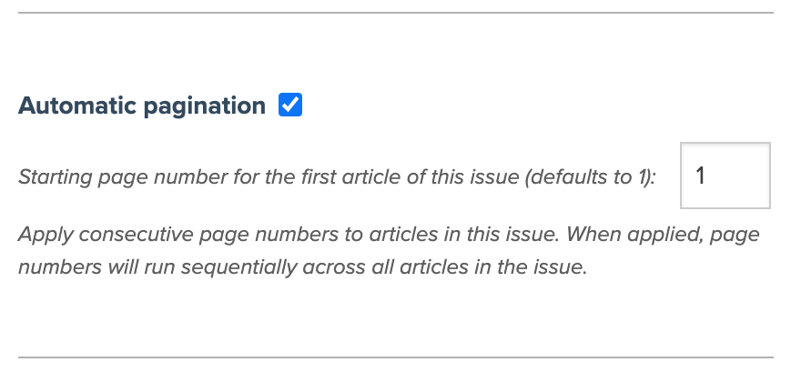 Screenshot of the automatic pagination option on the issue details page. The automatic pagination checkbox is checked in the screenshot and the