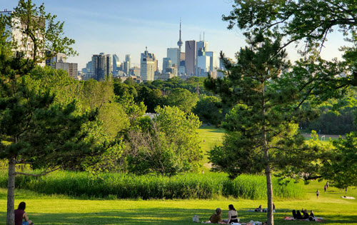 park with trees and green grass and skyline in the distance