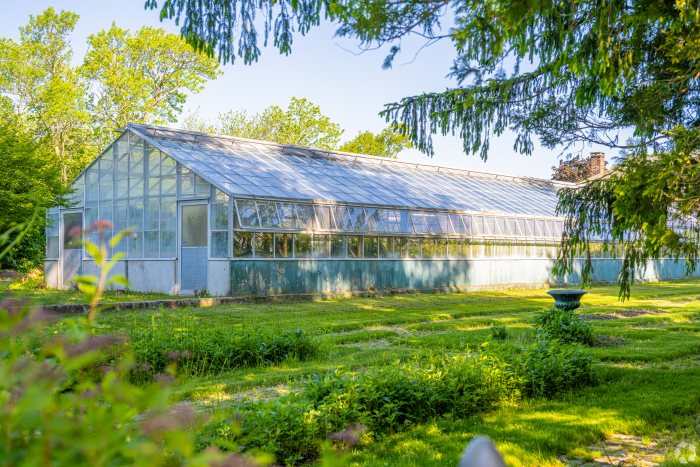 Buttonwood Park's vibrant greenhouse, located in New Bedford.