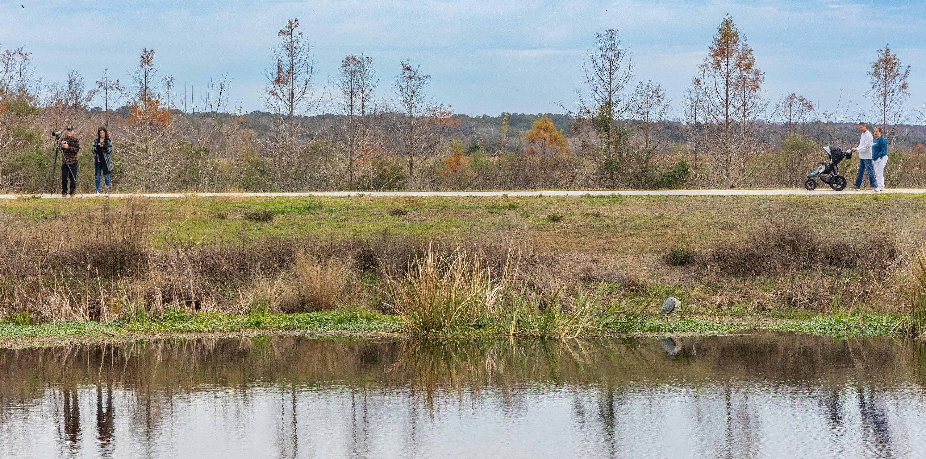 people strolling along path next to pond in a nature park setting