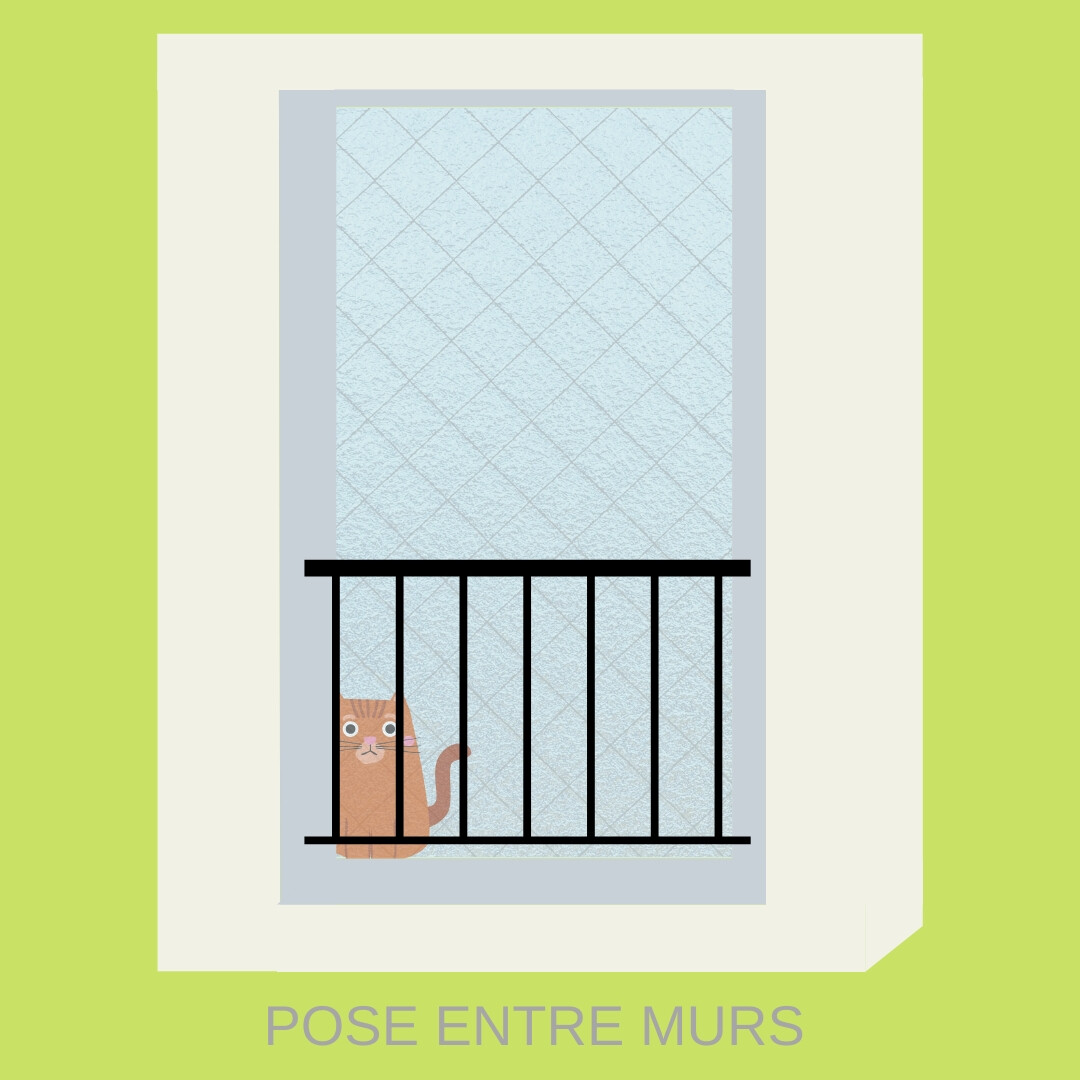 garde de corps fenêtre sur mesure et conforme à la norme de sécurité NF P01-012
