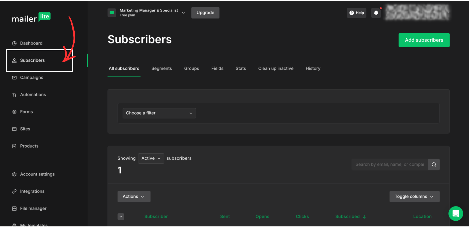 MailerLite integration step screenshot