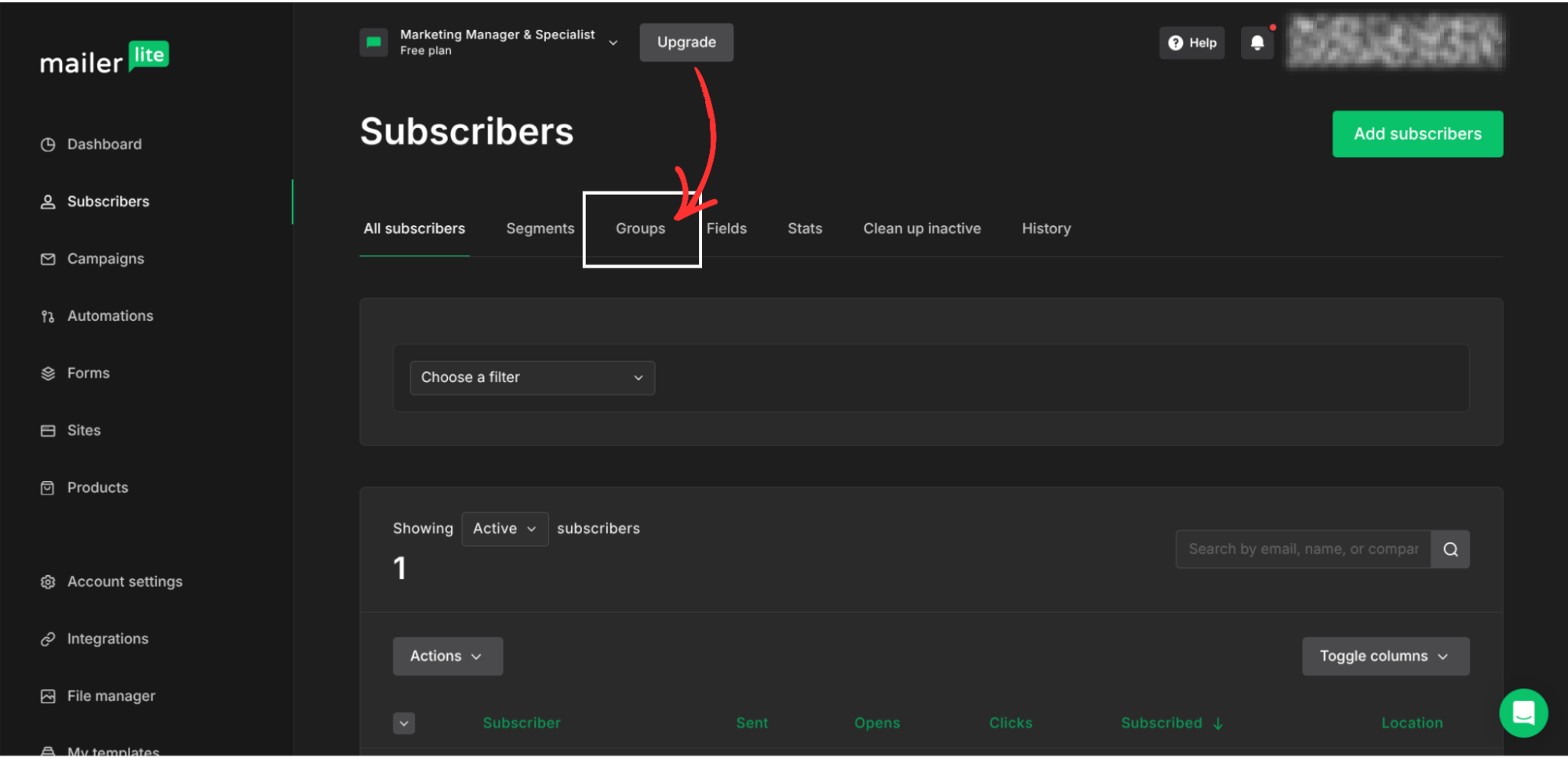 MailerLite integration step screenshot