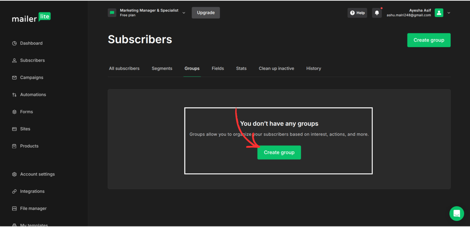 MailerLite integration step screenshot