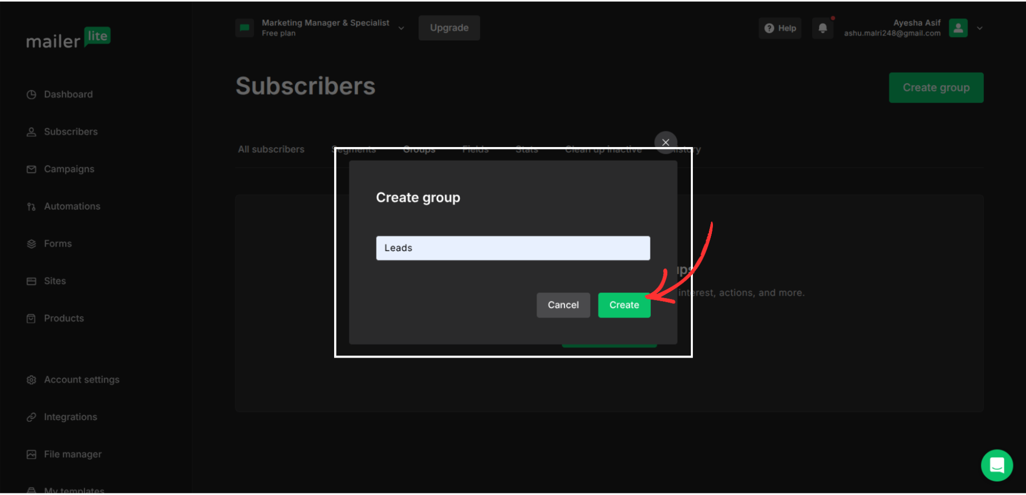 MailerLite integration step screenshot