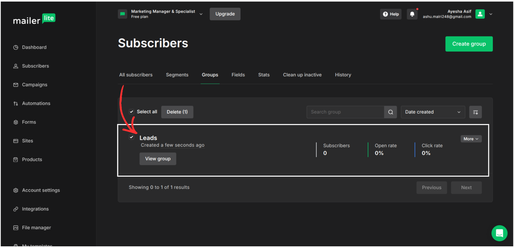MailerLite integration step screenshot