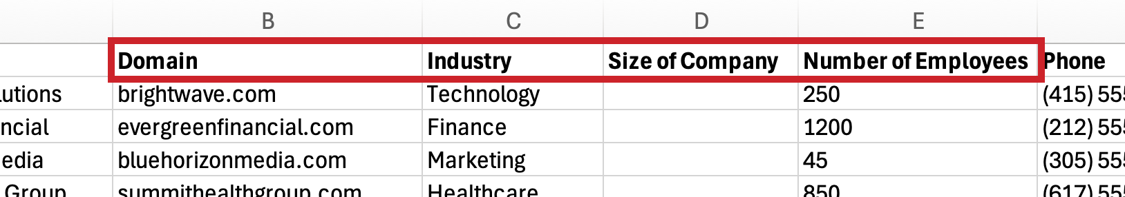 Required four columns, even if they are not used: Domain, Industry, Size of Company, Number of Employees