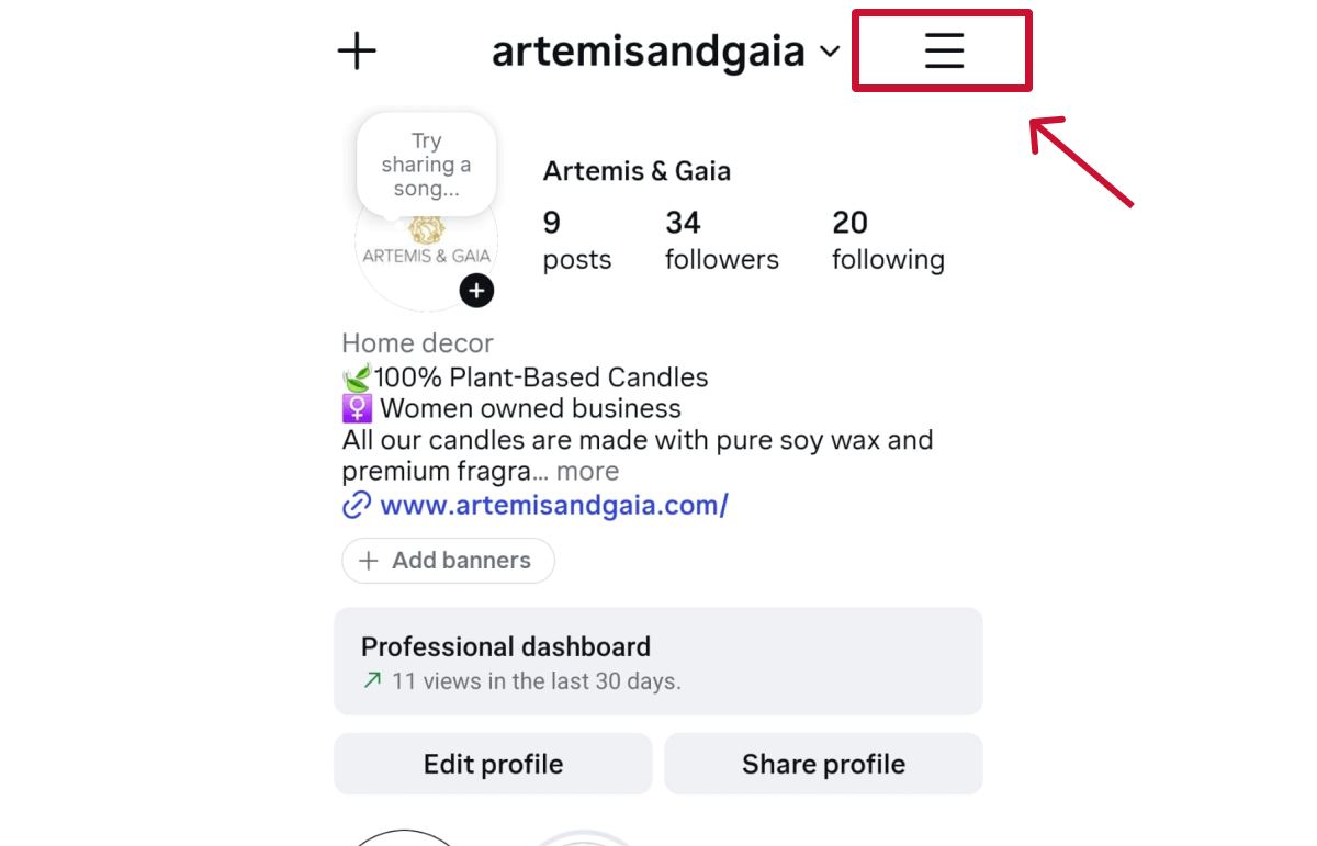 Go to Settings in the Instagram app to Connect Your Instagram Account to a Meta Ad Account