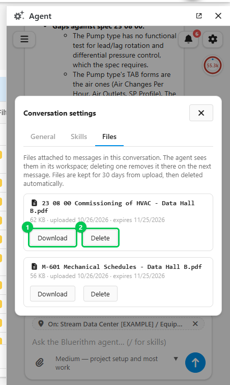 The Files tab of Conversation settings, listing two uploaded documents with their expiry dates and Download and Delete buttons