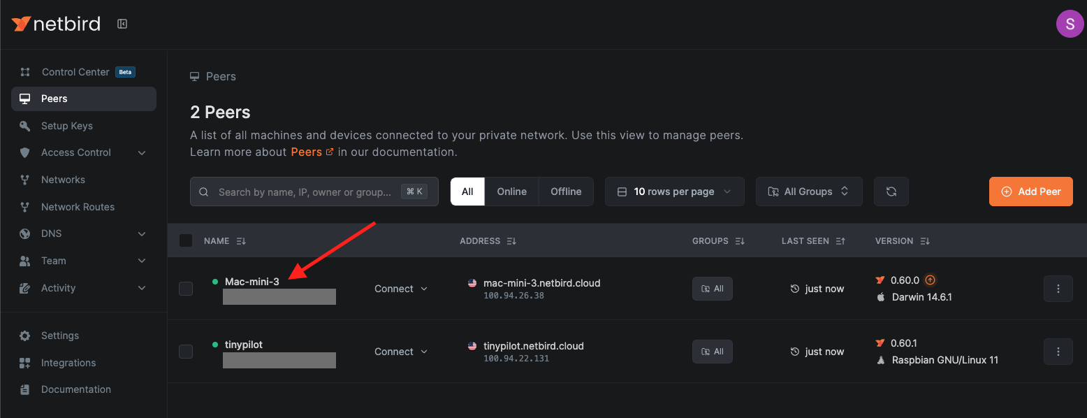 The NetBird Peers tab showing a Mac Mini added to the network.