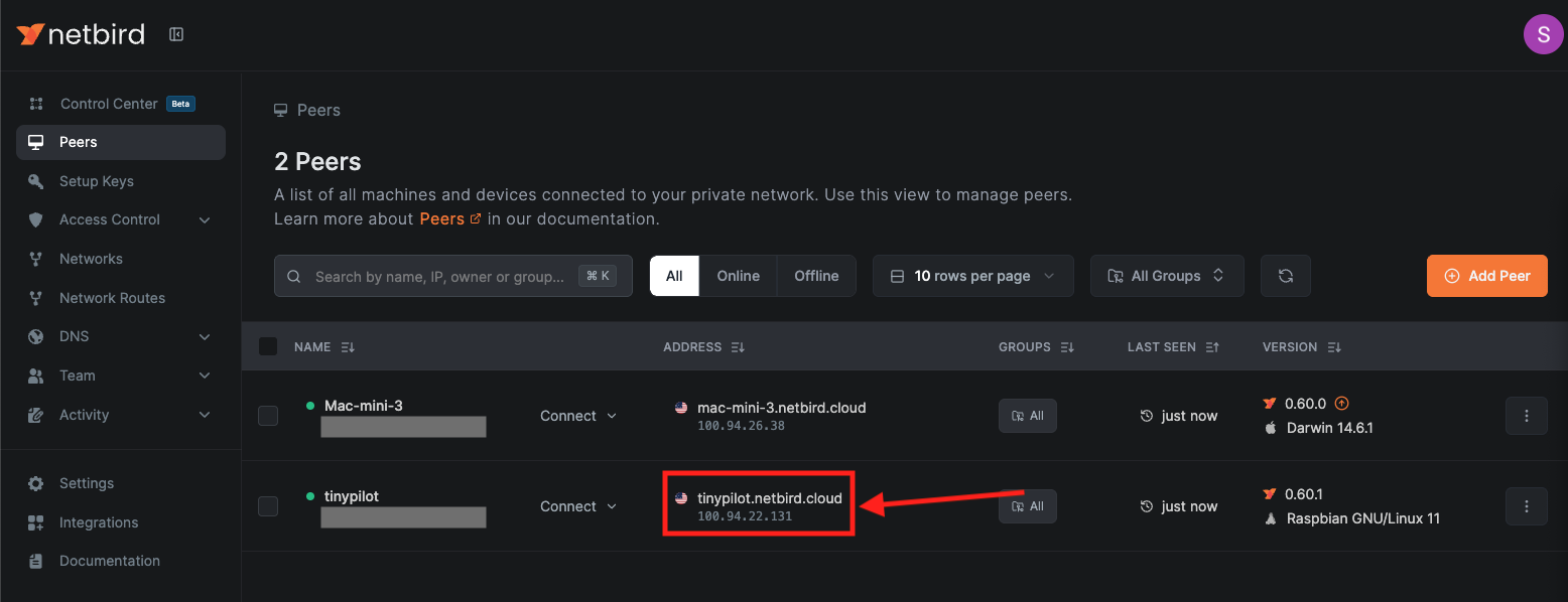TinyPilot's DNS label and IP address in the NetBird Peers tab.