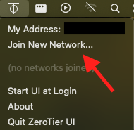 The ZeroTier dropdown showing where to Join New Network.