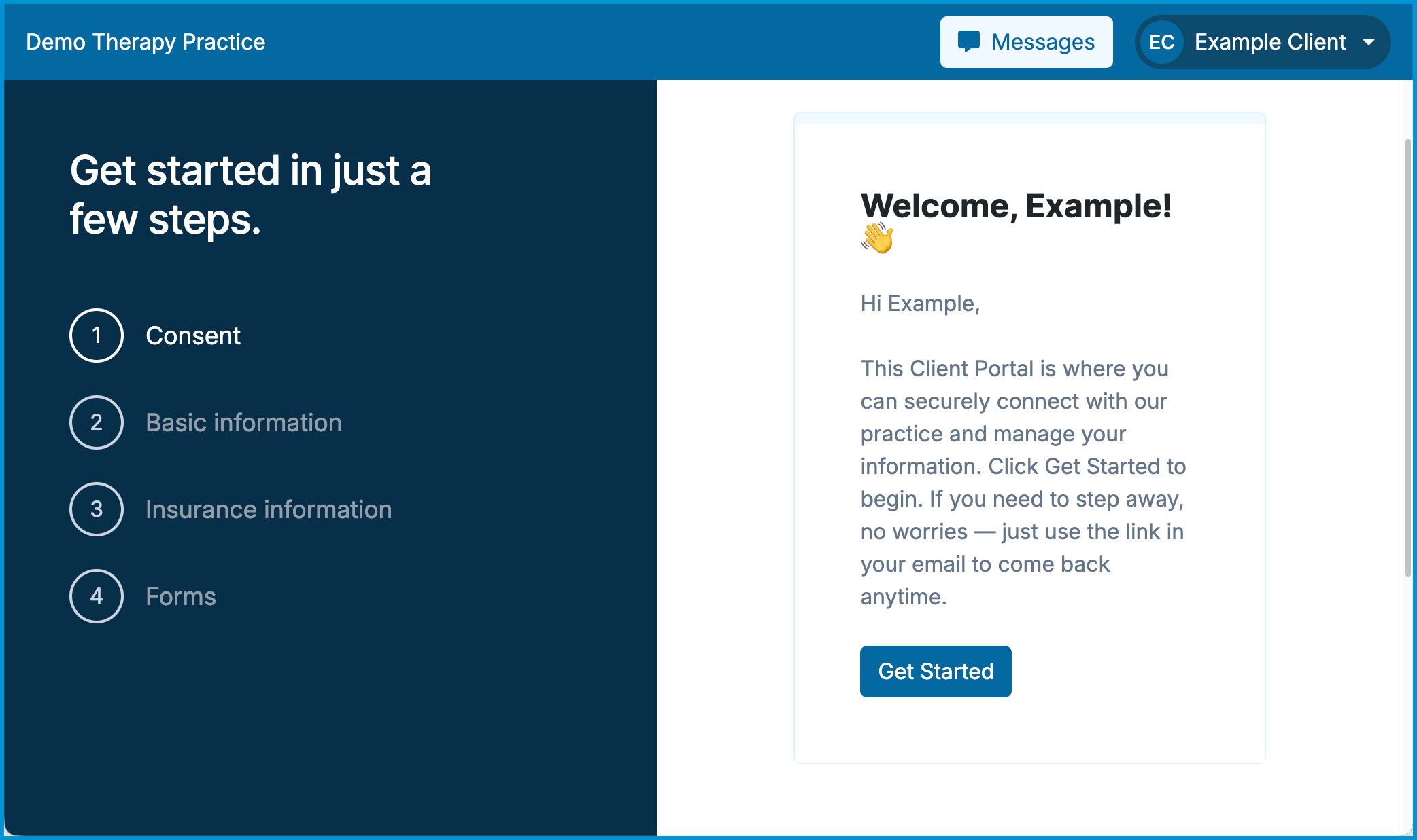 Client portal welcome screen showing the setup wizard and a Get Started button.