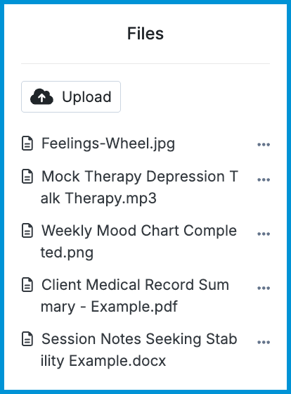 Files sidebar panel displaying the Upload button and a list of uploaded client documents.