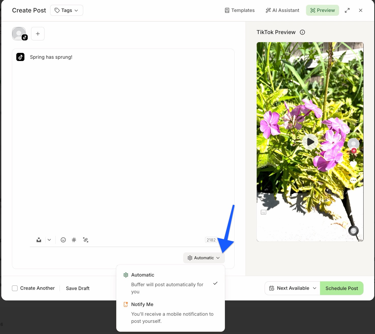 Buffer composer with TikTok selected and arrow pointing to Automatic vs. Notify Me toggle