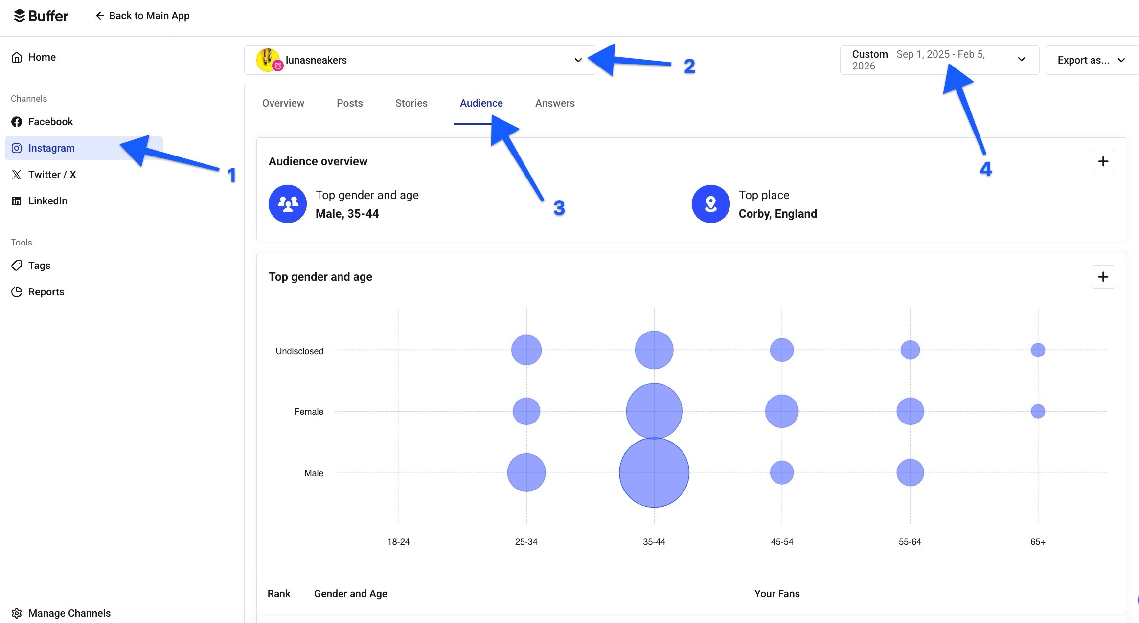 Buffer Analyze Audience tab with gender/age bubble chart, top cities, and world map