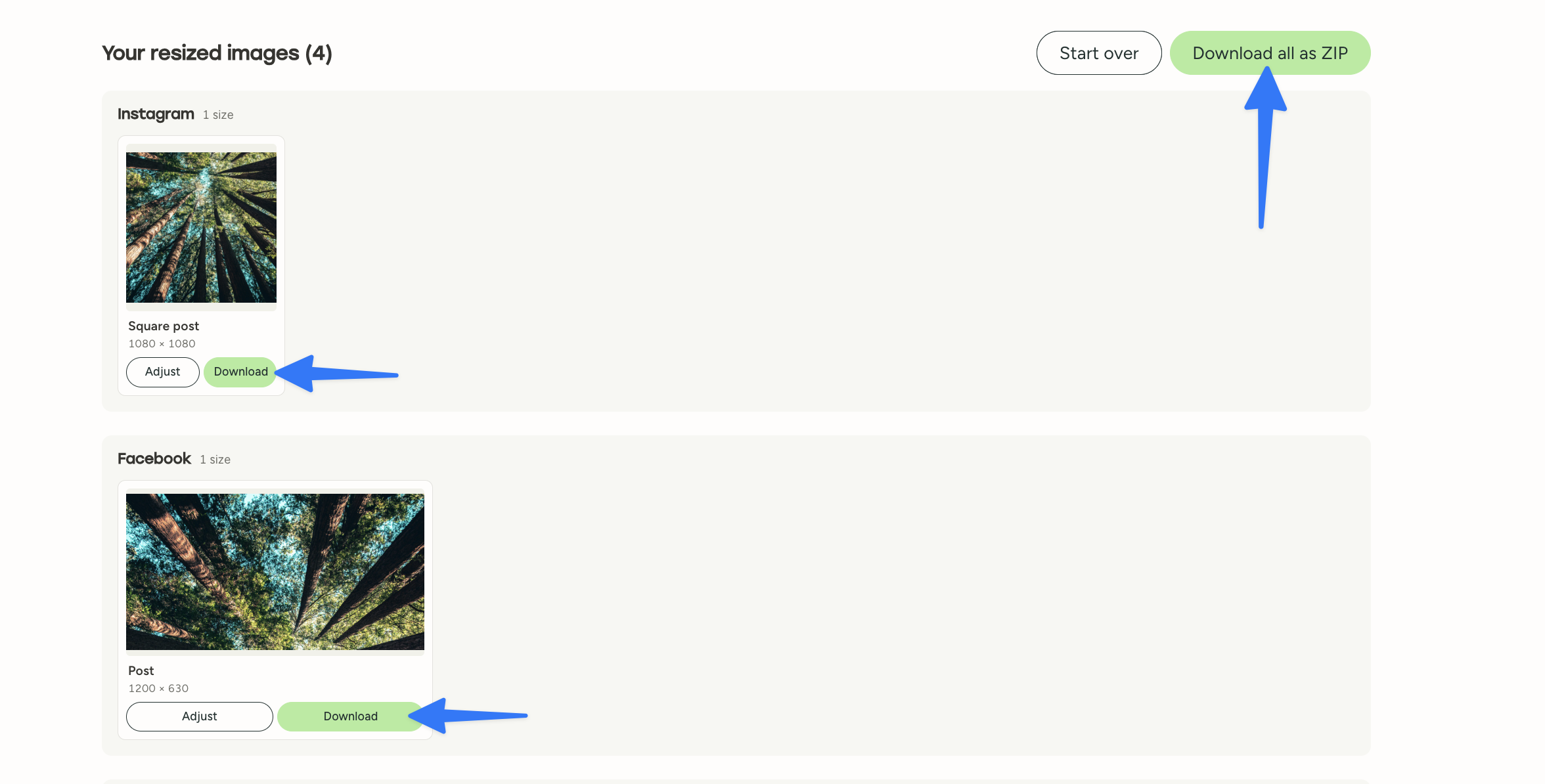 Screenshot: Download options showing individual download and