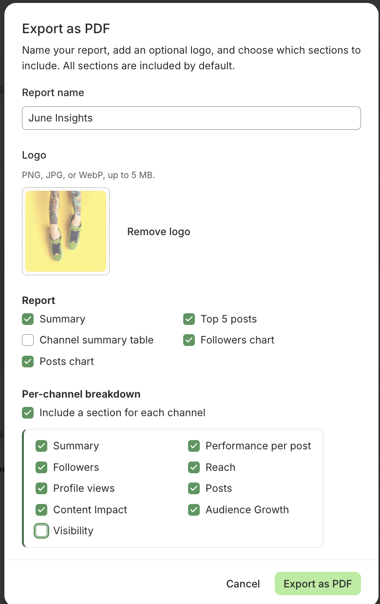 Customizable options for Buffer Insights Export as PDF feature