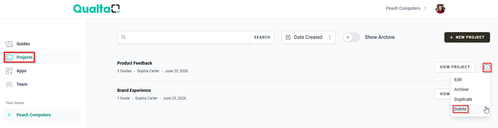 The Projects page showing the More Options icon and Delete option.