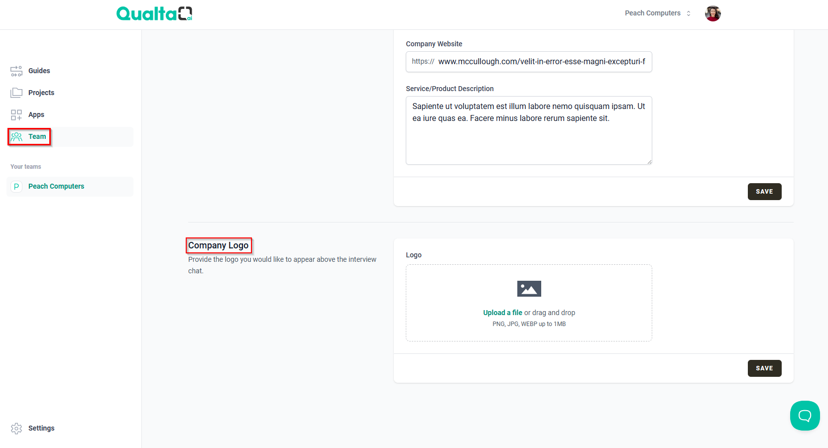 The Team page with the Company Logo section.