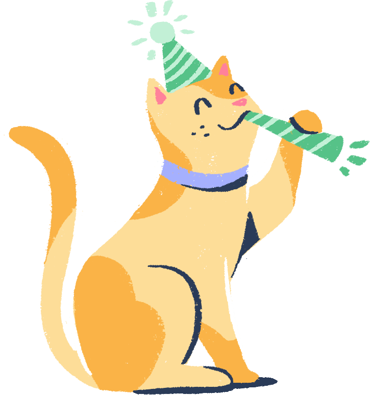 A cat dressed in a party hat