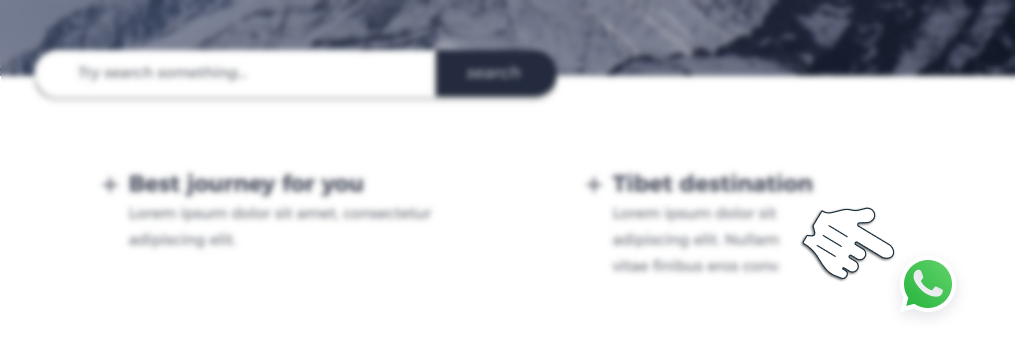 WhatsApp Chat Button displayed on website