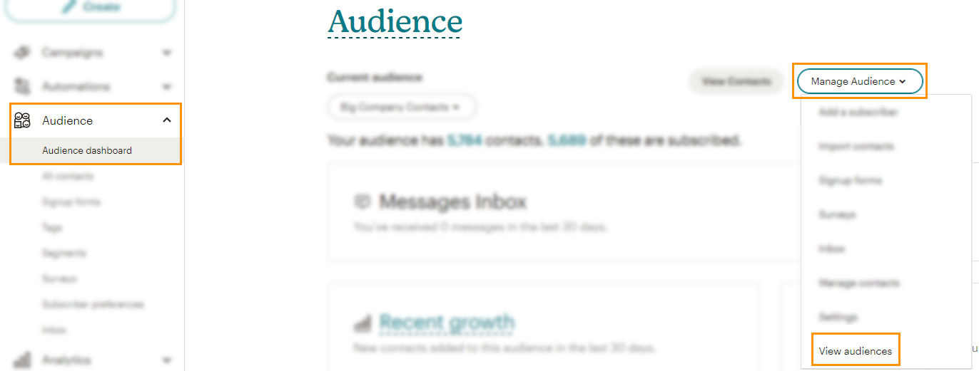 Mailchimp Page l Audience Dashboard