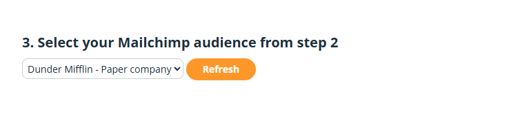 Mailchimp Configuration | Step 3