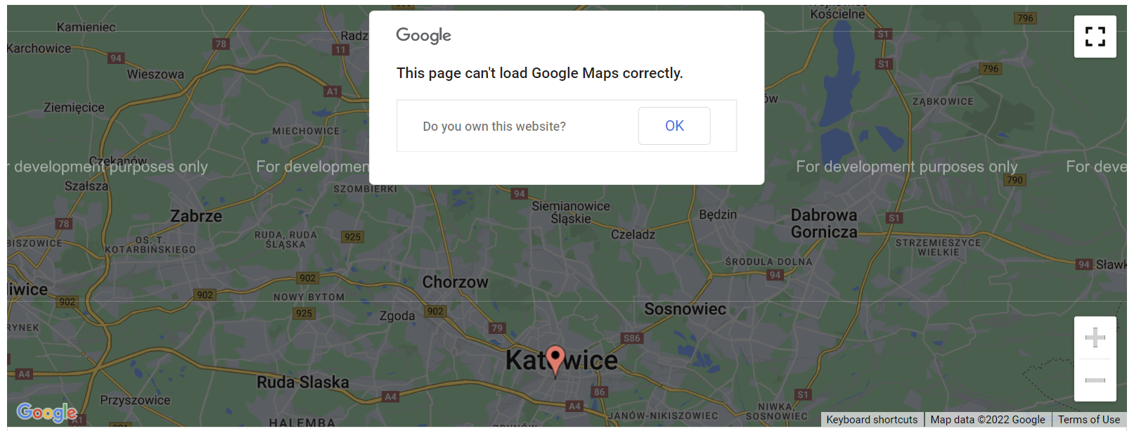 Screenshot of the Google Maps error