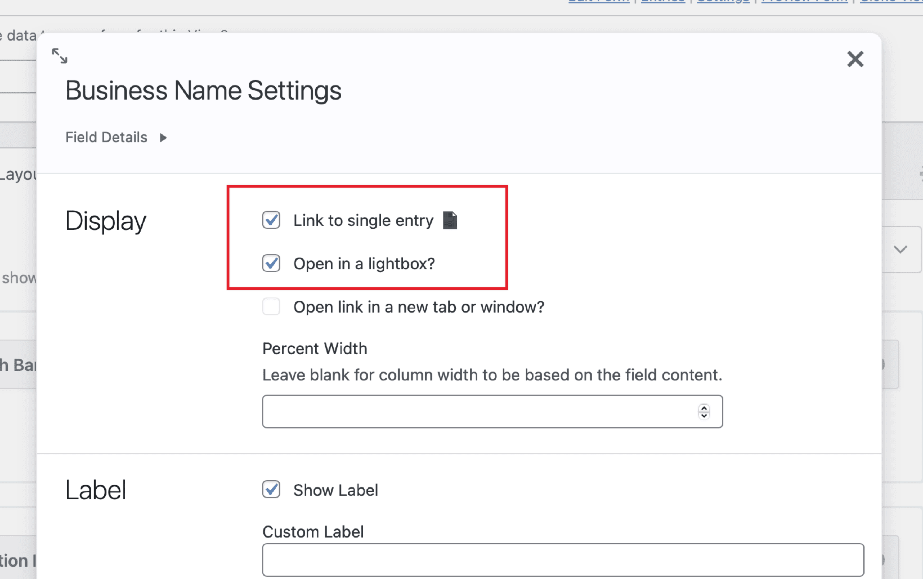 A field settings screenshot with a red outline surrounding the 
