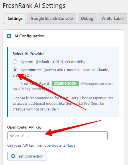 Enter OpenRouter API key