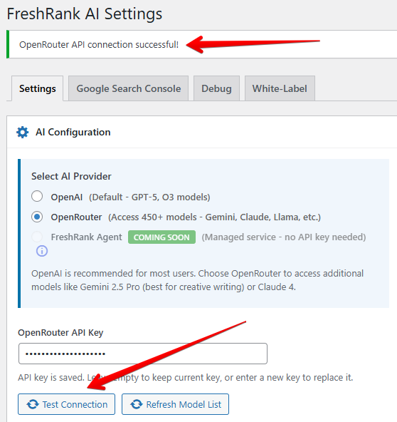 Test OpenRouter connection