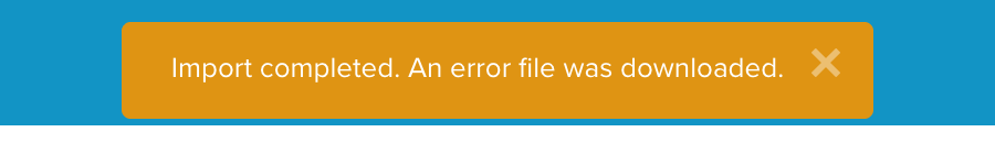 Import completed with an error file